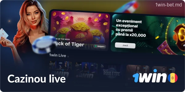 Cazinouri cu dealer live la 1win Moldova